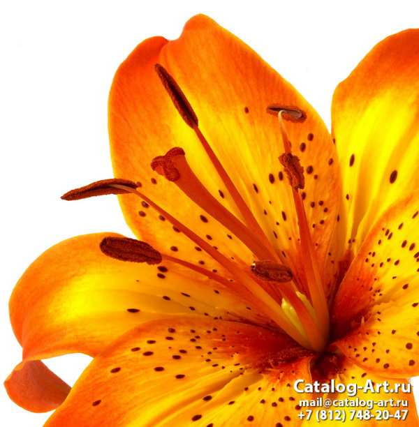 Printing images - Yellow lilies - ceilings design